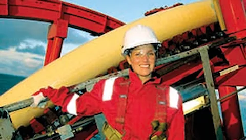 StableLines - Engineering analysis of pipelines