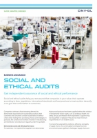 Social and ethical audits