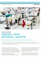Social and ethical audits