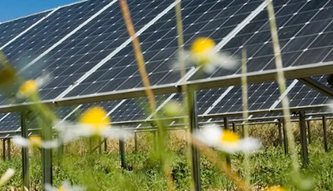 Permit preparation for renewable energy projects