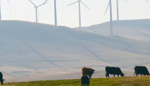 Siting and environmental studies for onshore wind and solar power