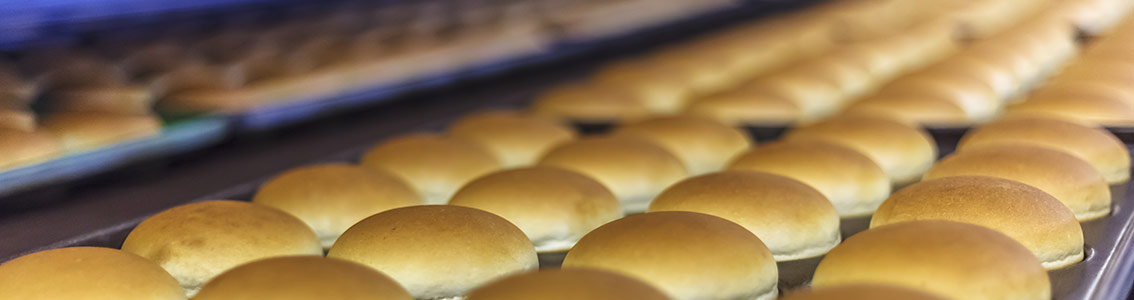 SQF Safety Quality Food Program