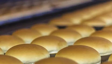 Implementing SQF Systems - Manufacturing Training