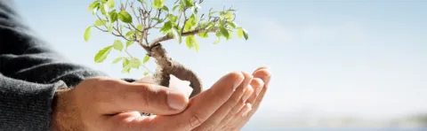 Turning the EU CSDDD into a strategic opportunity: Achieving sustainable leadership and driving ESG excellence