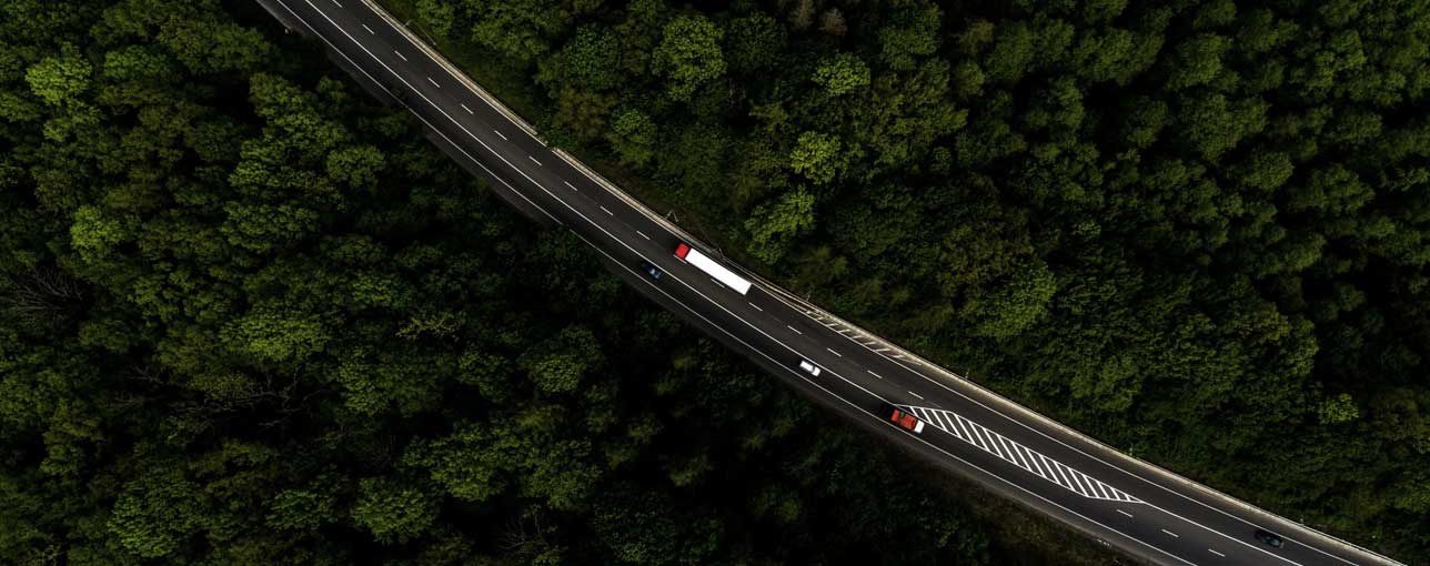 Green tree in front of office building