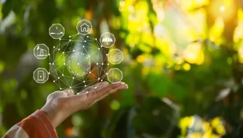 Supply chain traceability: why is it important to have objectives?