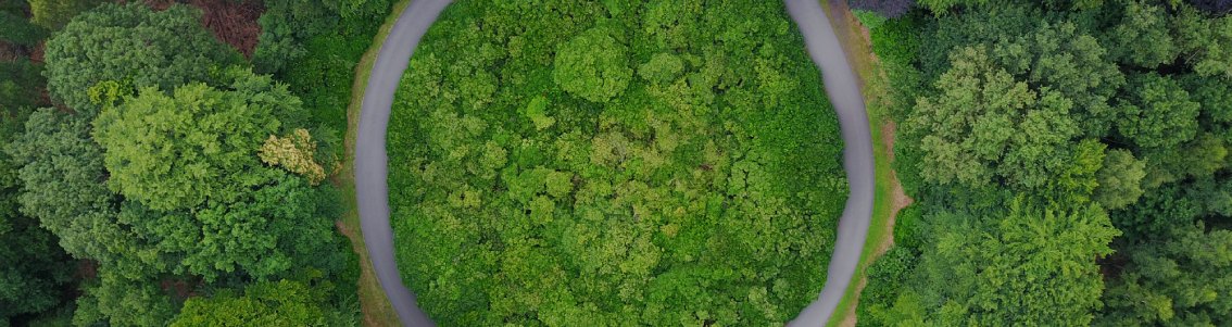 Supply chain traceability: why is it important to have objectives? - 1334x300