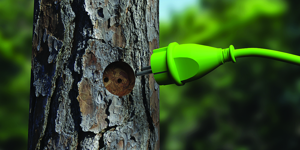 ISO 20121: Sustainable Events Management System Standard for Events Organisations