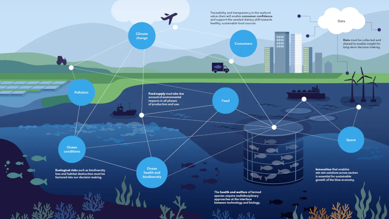 Sustainable growth of marine aquaculture infographic