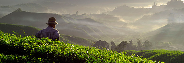 Supplier qualification and monitoring