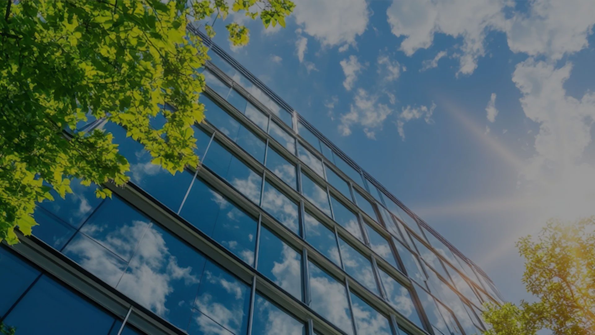 An overview of sustainability in Brazilian companies