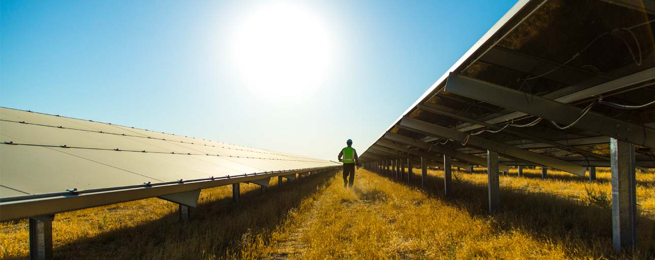 Synergi Electric - Protection