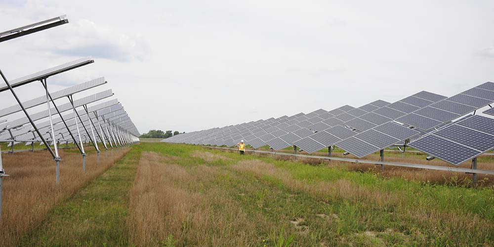 solar panels in field