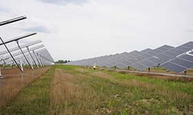 Synergi Electric - Publishing 发布模块 