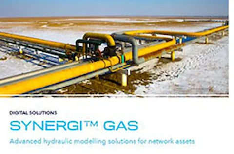 Synergi Gas 手册