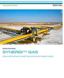 Synergi Gas 手册