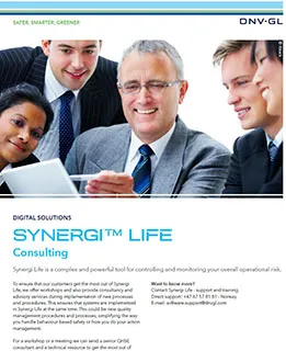 Synergi Life Consulting 