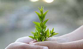 Synergi - 质量健康安全环境（QHSE）风险管理软件