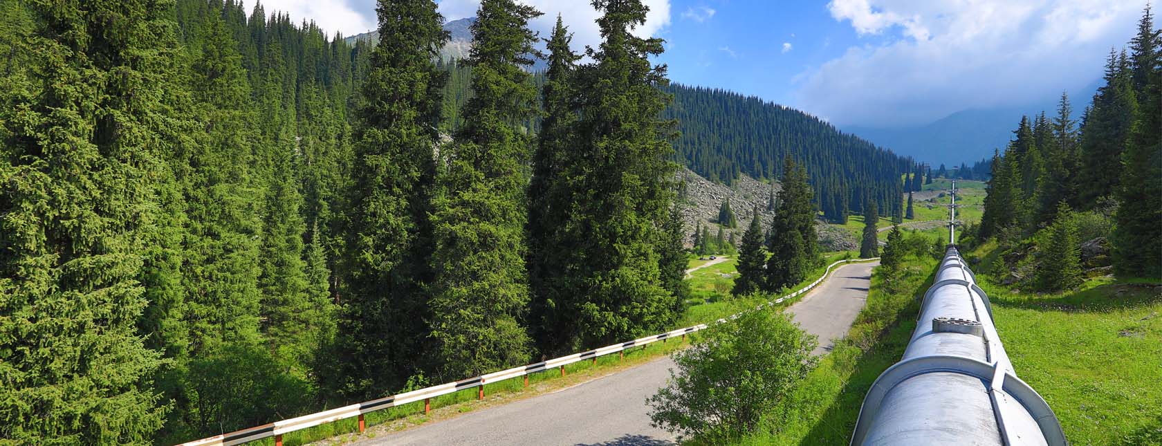 Synergi Pipeline - Pipeline Insights 2021 report