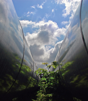 Pipeline integrity management software from DNV