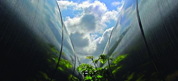 Learn more about Integrity Management with Synergi Pipeline