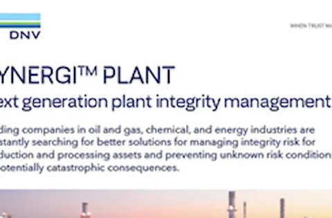 Synergi Plant