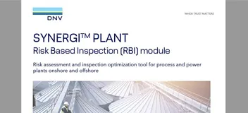 Synergi Plant - RBI flyer