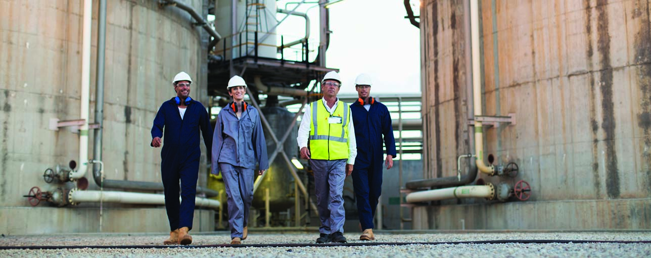 Synergi Plant - RBI AST for AST inspection software based on API 581 and EEMUA 159 regulations for storage tank inspections