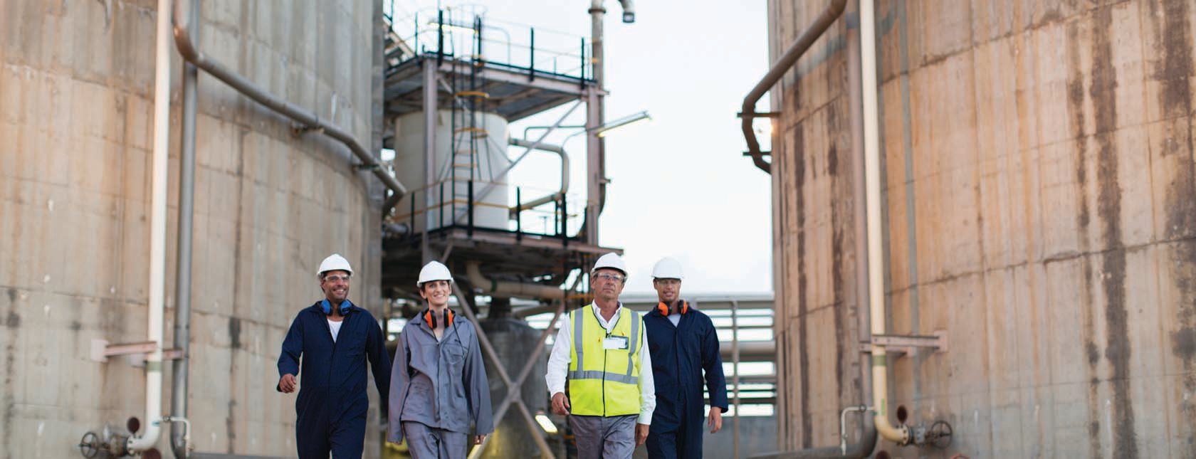 Synergi Plant - RBI AST for AST inspection software based on API 581 and EEMUA 159 regulations for storage tank inspections