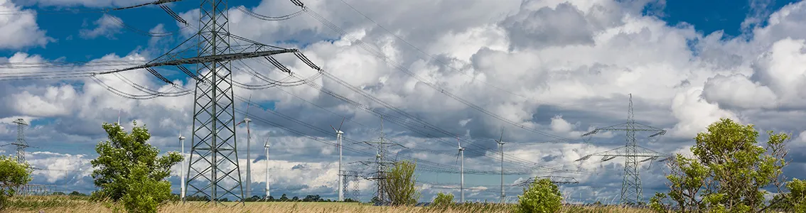 Wind farm control and grid integration