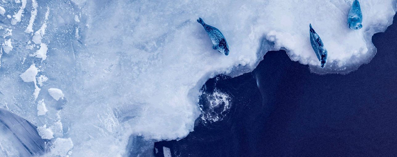 Transition Faster - Conclusions