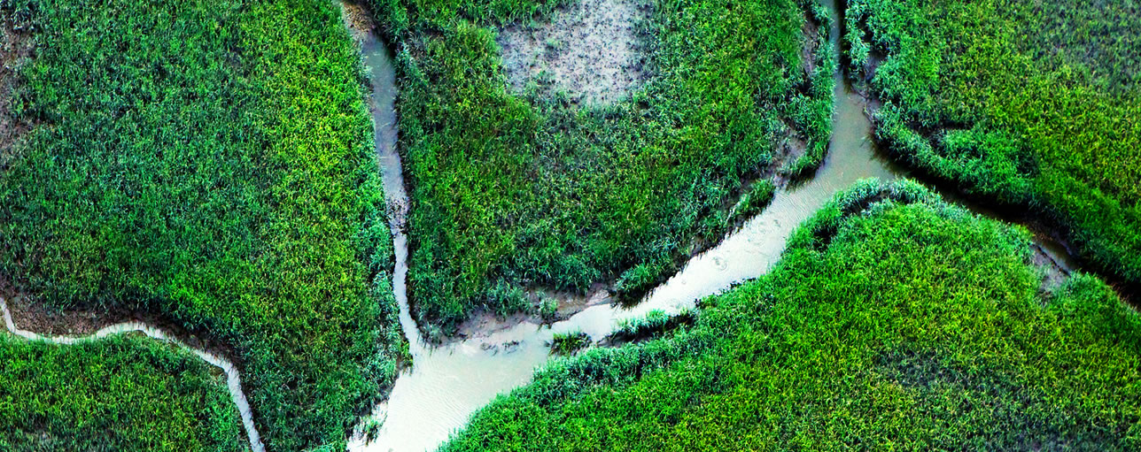 Transition Faster - grids