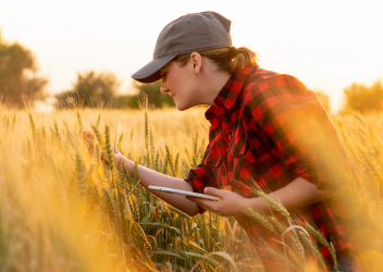 Övergång till GLOBALG.A.P IFA Version 6