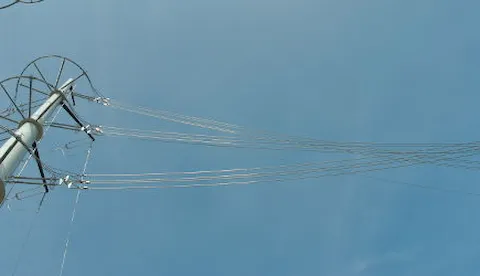 电网