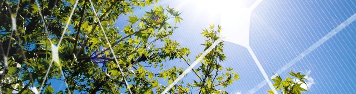 Tree at spring against the sun and pv-panel