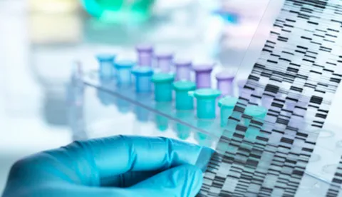 Healthcare and Life Sciences