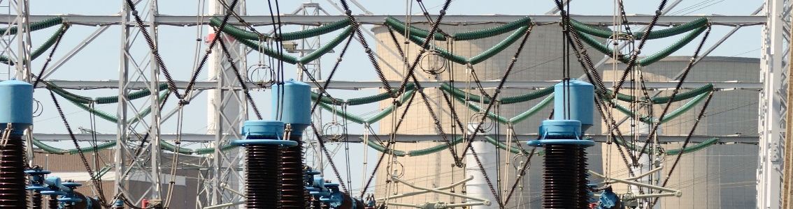 Verification services for load shedding