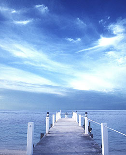 Kurs i sjømat og mattrygghet