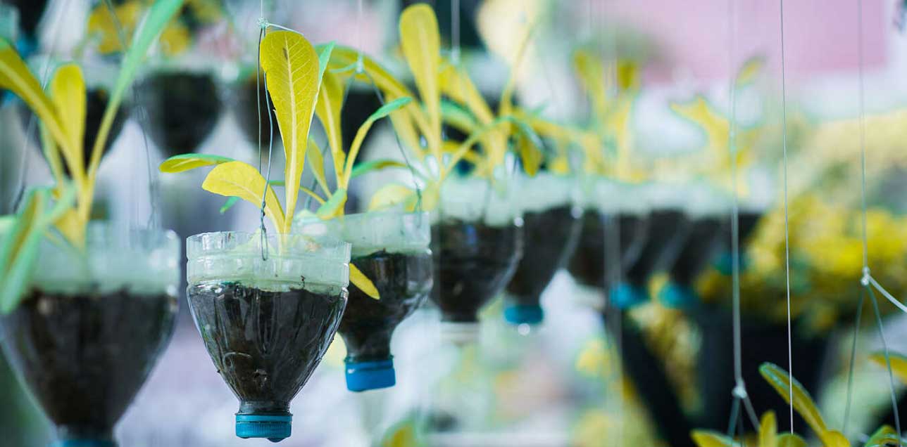 Recycle water bottle pot