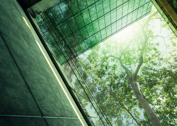 企业是否致力于可持续发展？ 