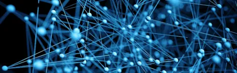 Complex web of information