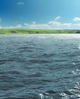 Global Food Safety Initiative 