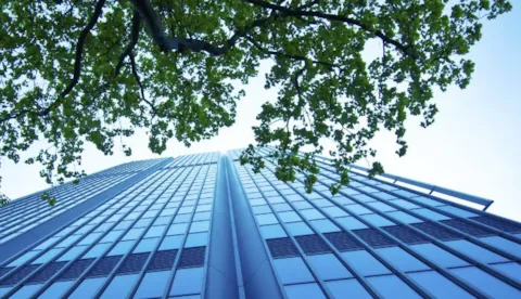 ESG strategy to promote sustainability