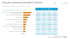 Circular economy transition drivers