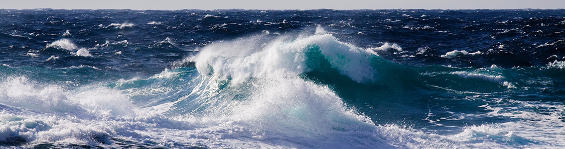 Wave and tidal concept development