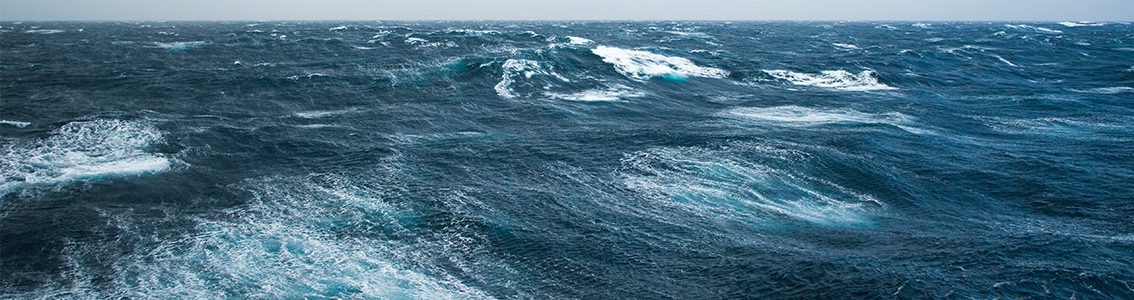 Wave and tidal project management