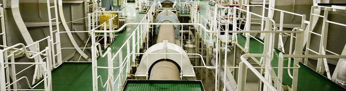 Whirling Axial Vibrations