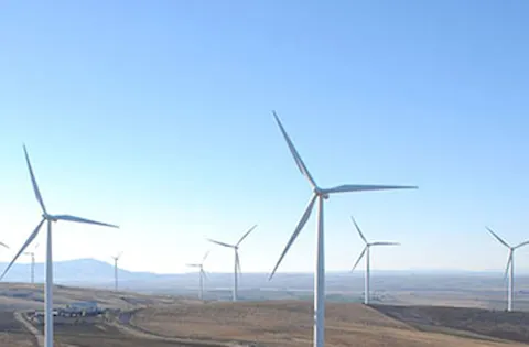 Tilt Renewables chose WindFarmer for more than just accuracy