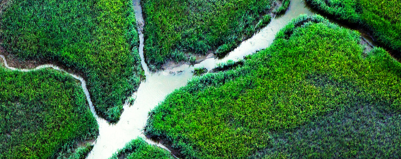 Powering Tomorrow - Today's challenges in transmission and distribution webinar