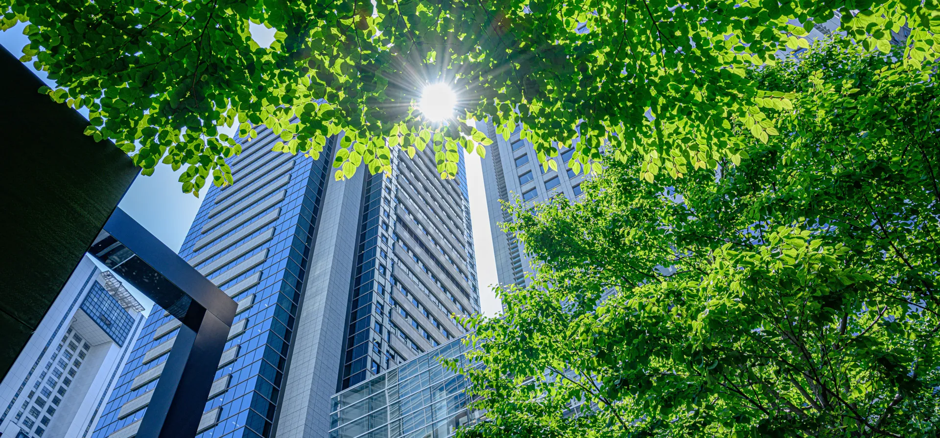 Navigating CSRD reporting